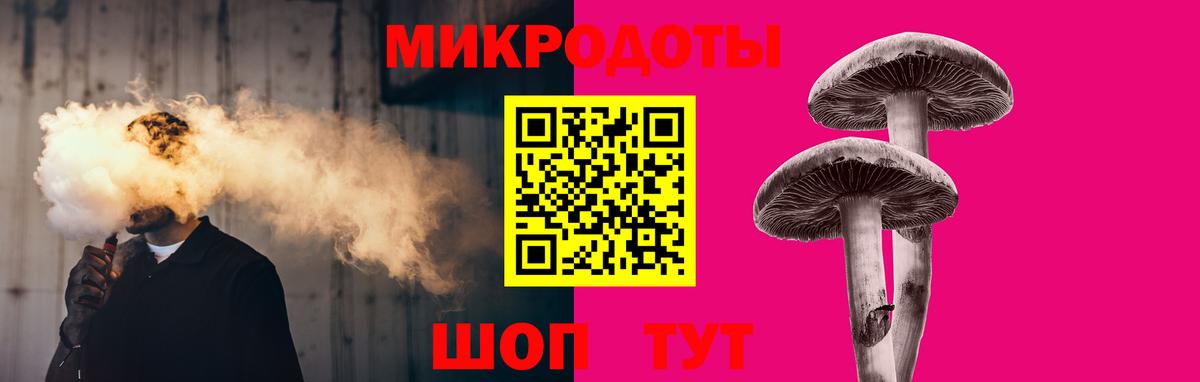 Галлюциногенные грибы Psilocybe Малоярославец